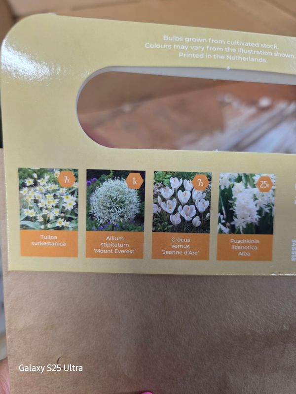 Nectar Flowers -White Collection