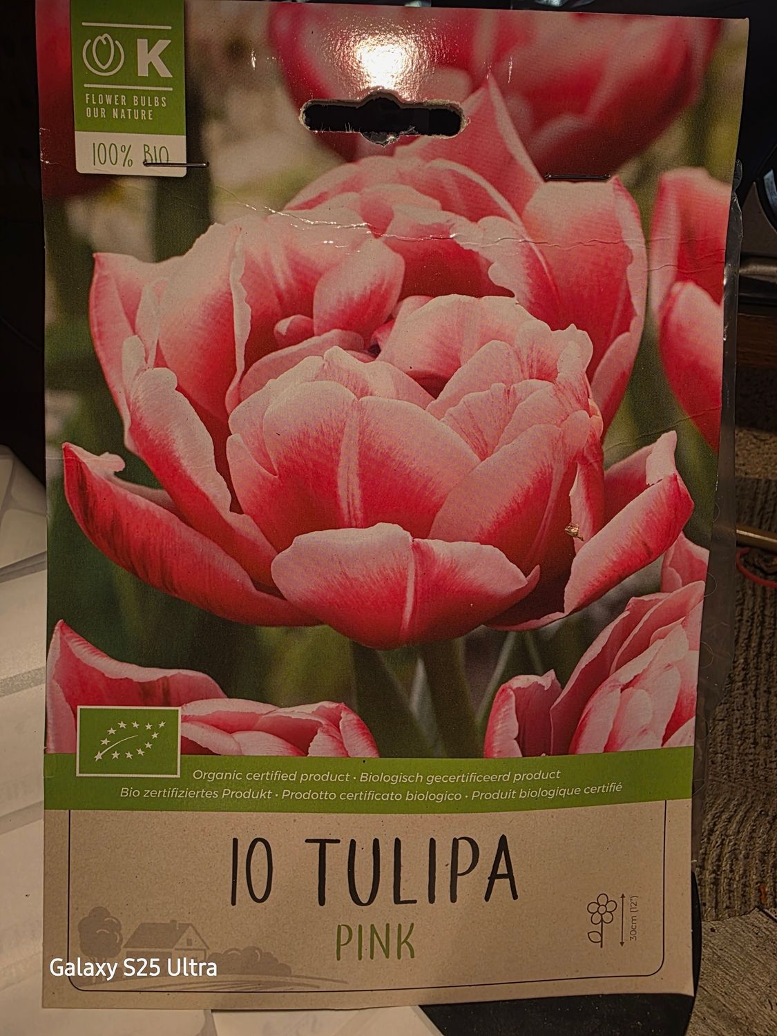 10  Tulip - Pink
