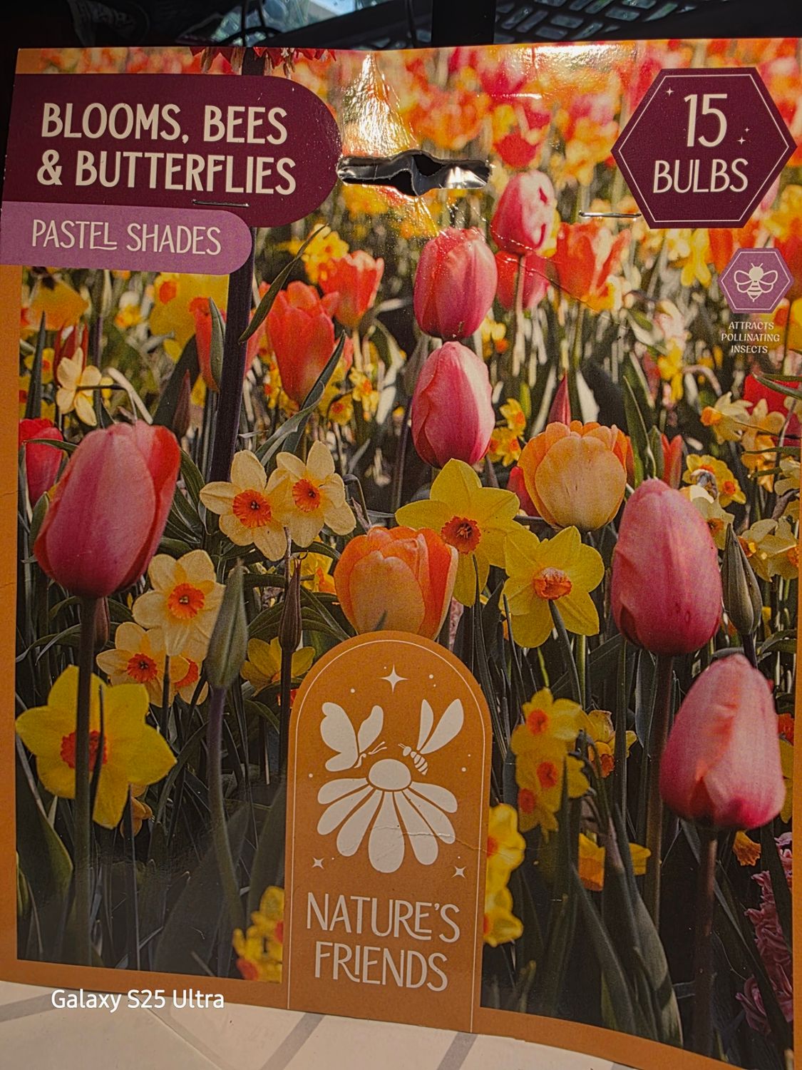 Blooms, Bees &amp; Butterflies- ''Pastel shades'' 15 bulbs