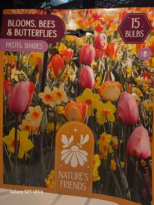 Blooms, Bees &amp; Butterflies- ''Pastel shades'' 15 bulbs