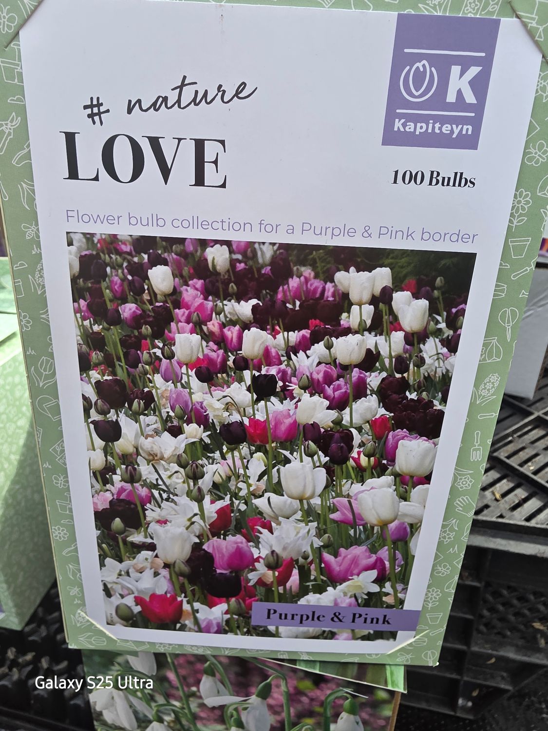 Border Collection 100 bulbs