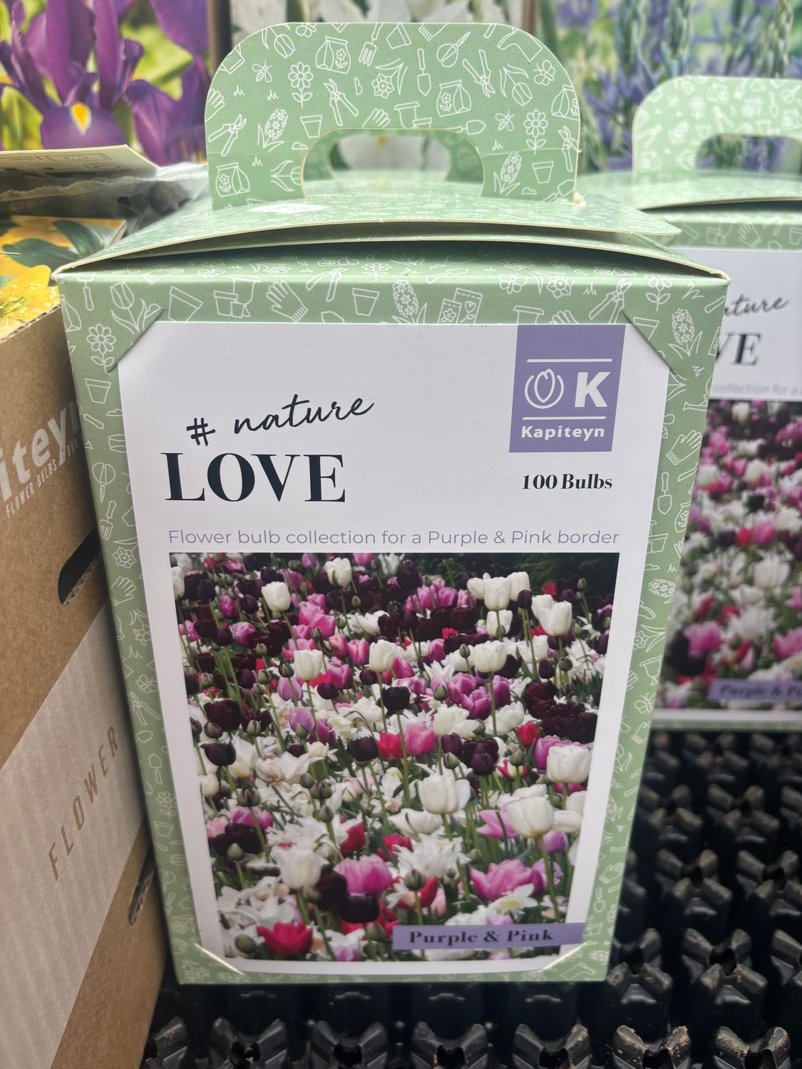 100 Border Collection Pink/ Purple Bulbs