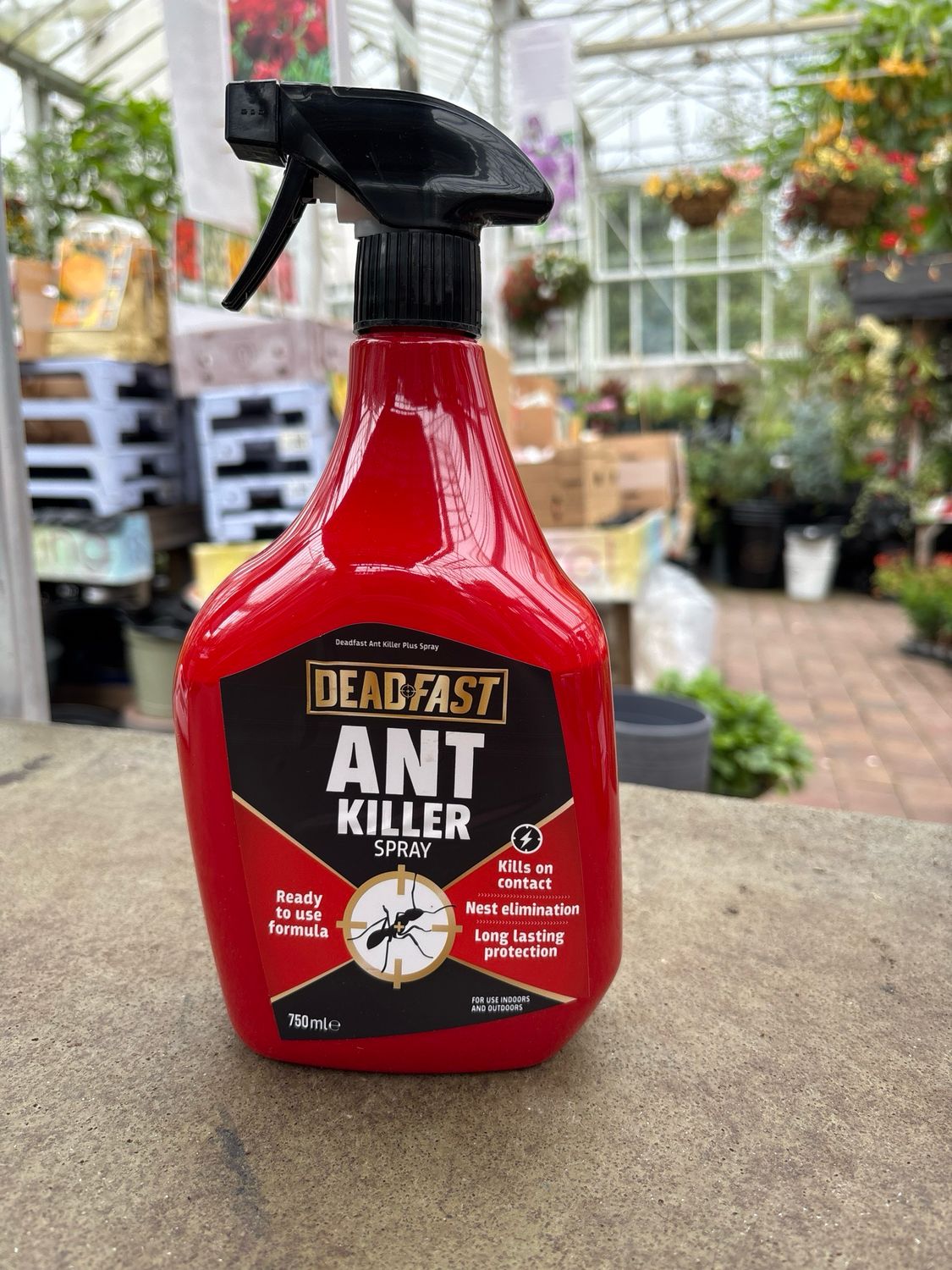 Any Killer Spray 750ml