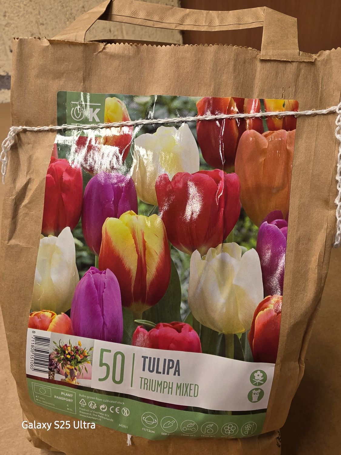 50 Tulips Triumph mix