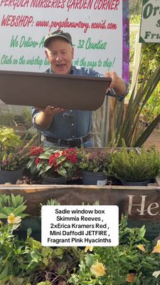 Sadie Window Box 60cm Clay Rust
