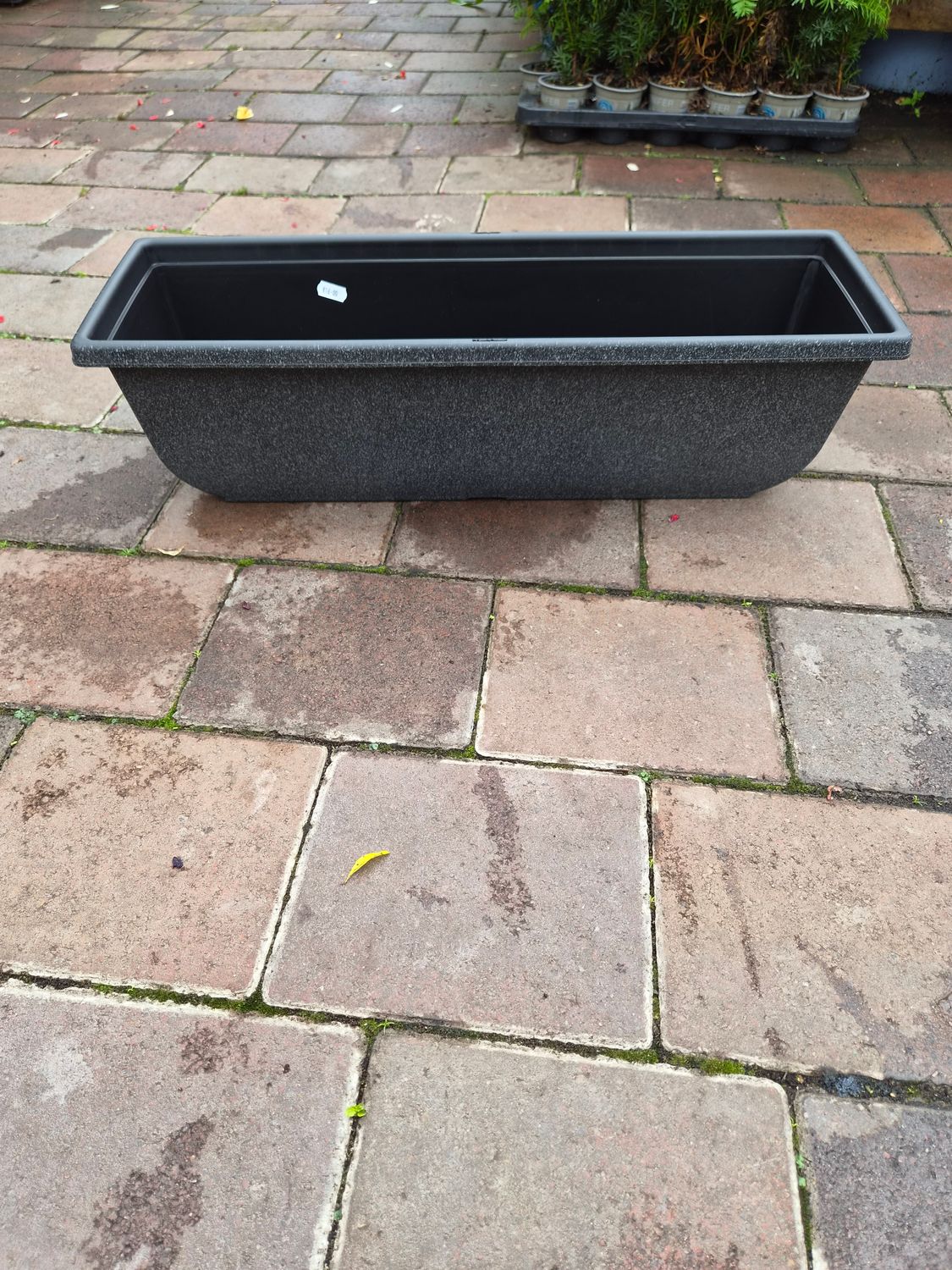 Sadie Window box 60cm Grey Clay