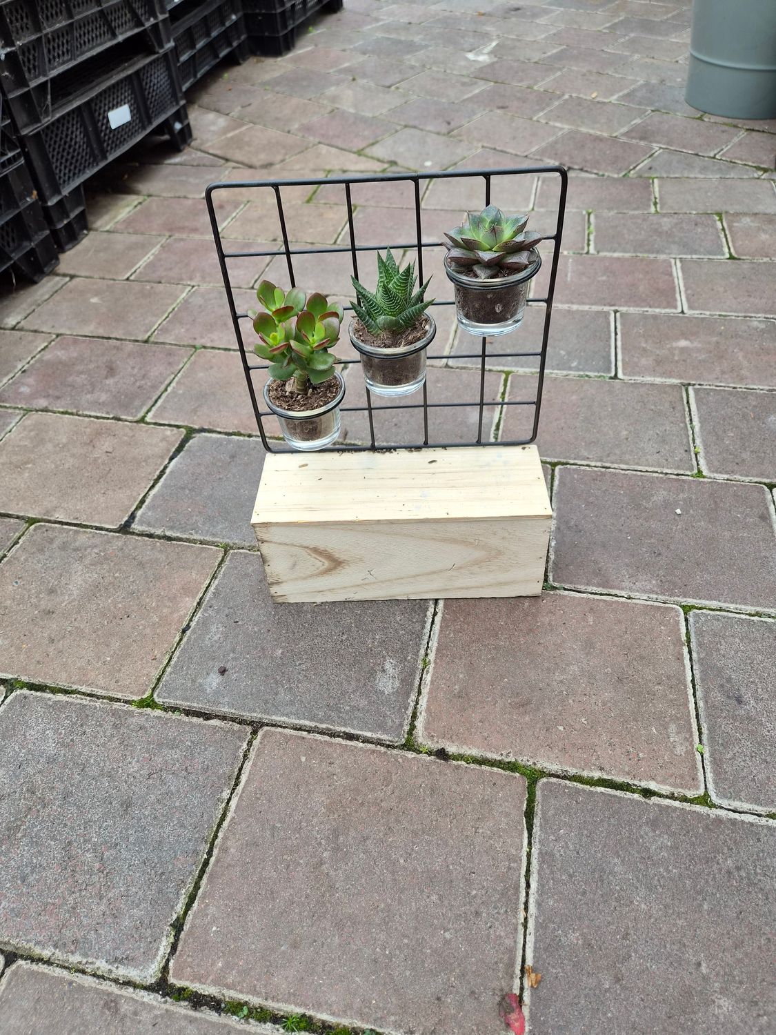 3 Succulents Mixed Metal Stand