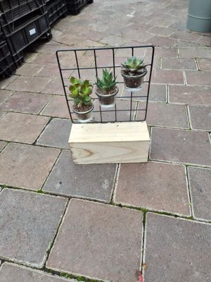 3 Succulents Mixed Metal Stand