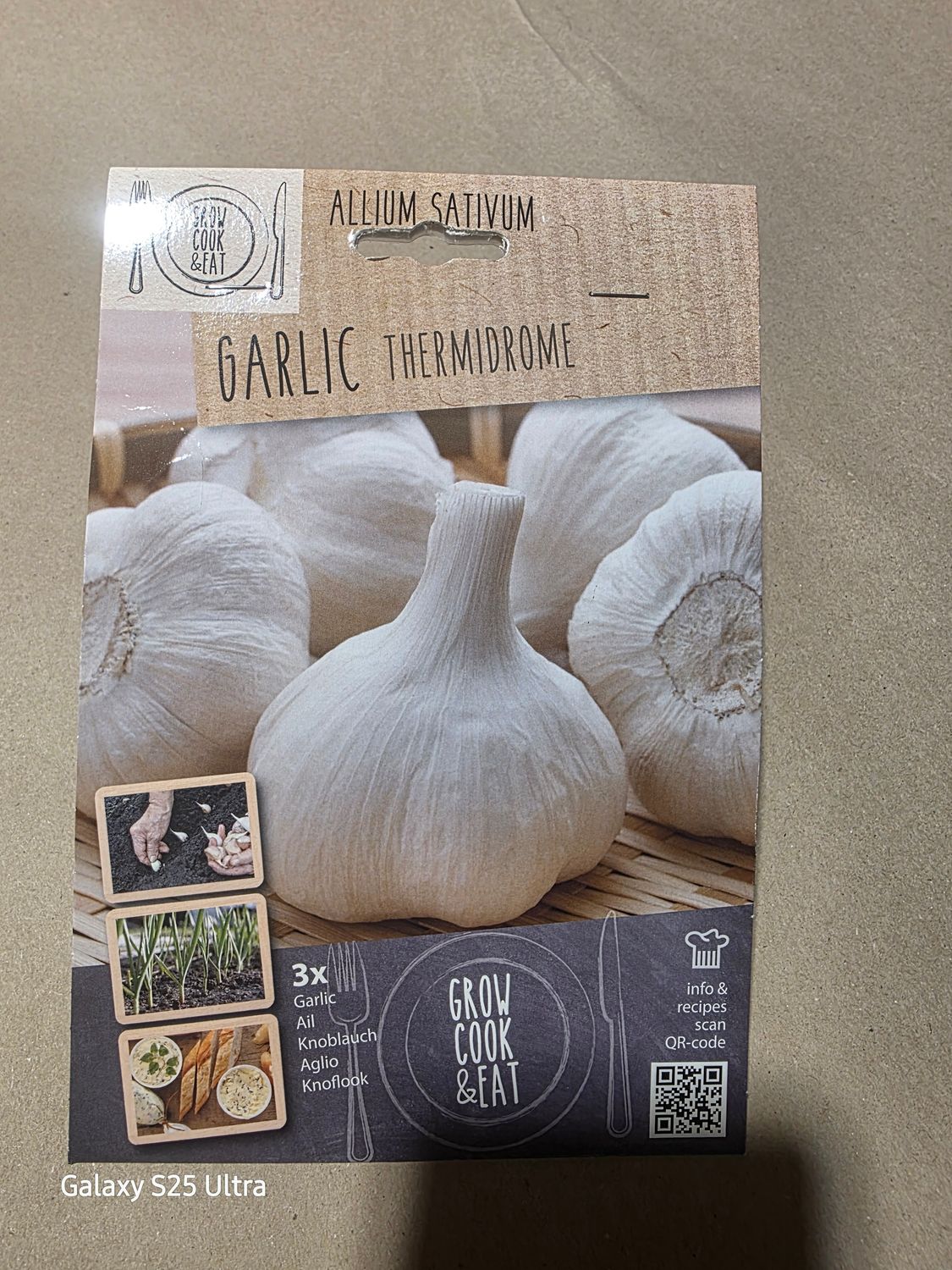 3 Garlic bulbs "THERMIDROME"