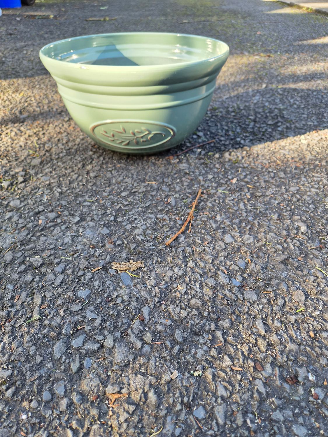 Olive bowl 30cm Green