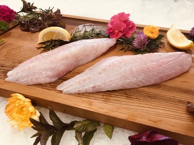 Wild Pacific Rockfish Fillets (10 portions)