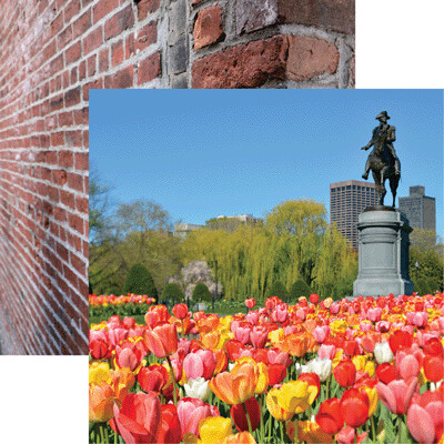 New England: Boston Public Garden