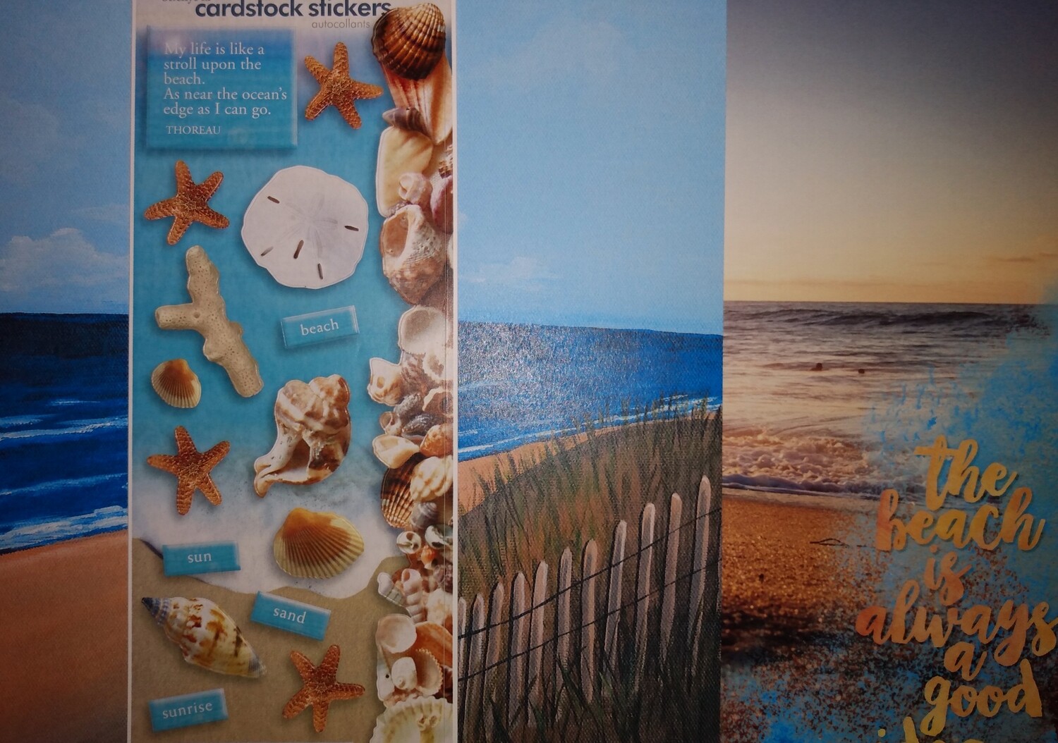 Beach Shells Kit