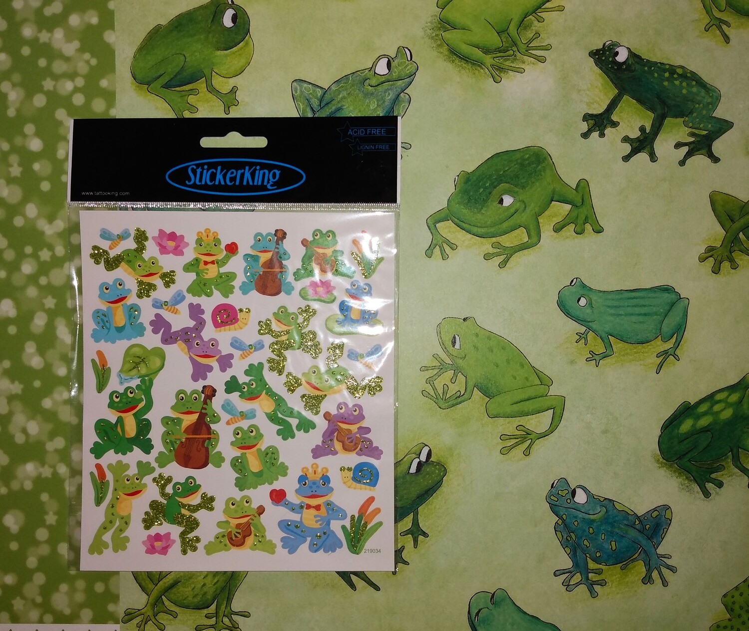 Frog Nature Kit