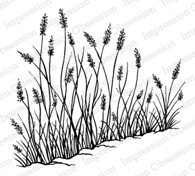 Sea Grass Blooms Sea Grass Blooms