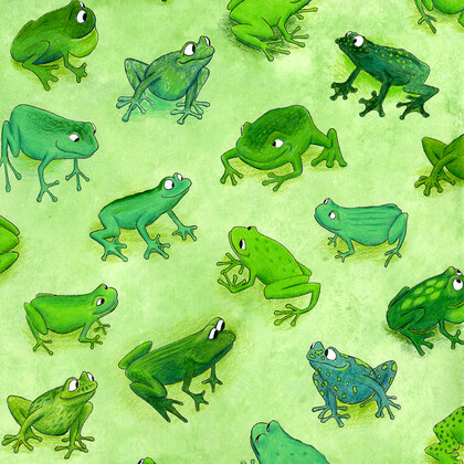 Friendly Frogs