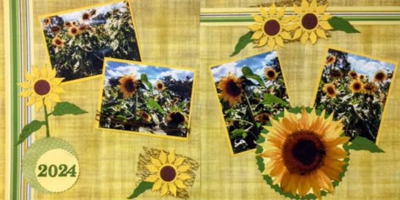 Two Page Sunflower Layout