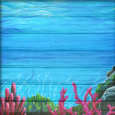 Caribbean Waters