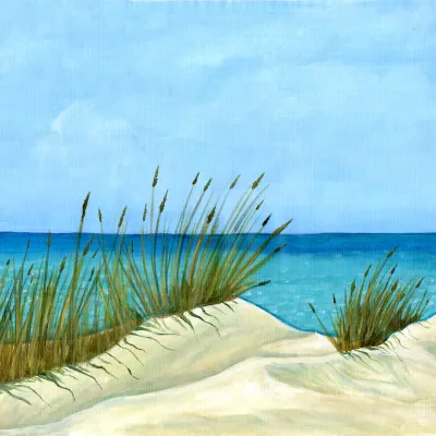 Shorelife View
