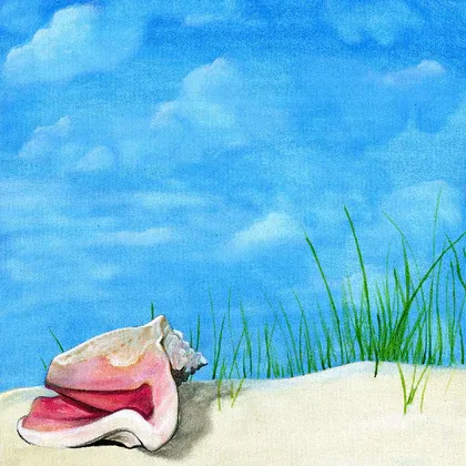 Seashell Reasure