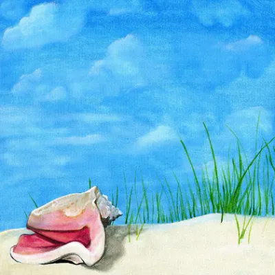 Seashell Reasure