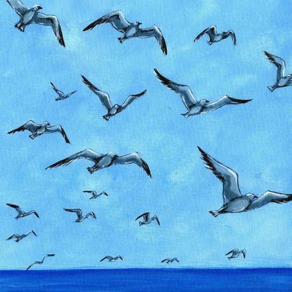 Shore Life in Flight