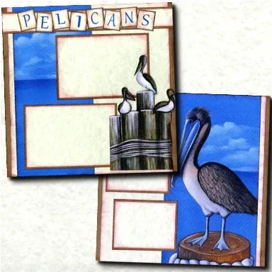 Pelicans