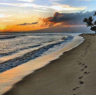 Five Piece Paper Bundle 1 Five Piece Paper Bundle 1