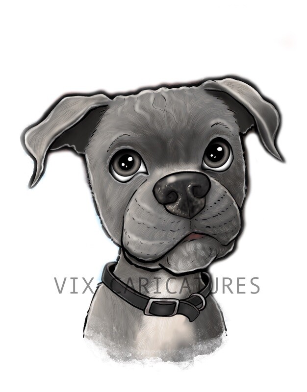 Pet Caricature