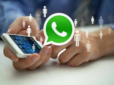 Consultoria Personalizada Vía WhatsApp + Guia Completa