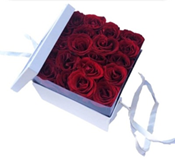 Red inbox Lebanon