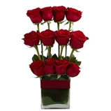 Roses in a vase S Lebanon