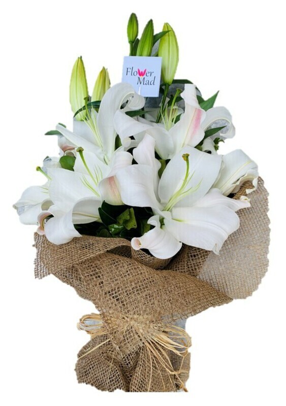 Dame Blanche Lebanon