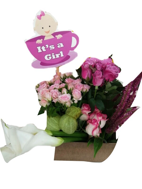 Baby girl or boy Lebanon
