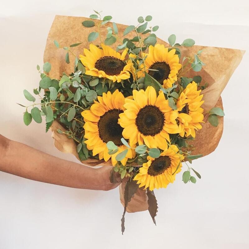 50 Sunflower Lebanon