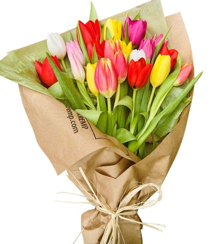 20 Tulip wrap Lebanon
