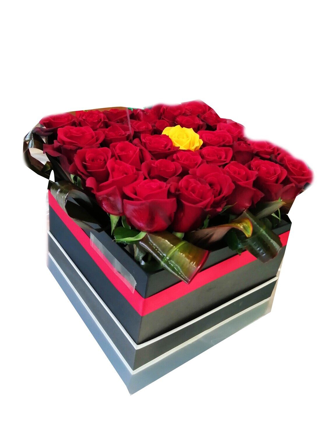 50 roses Romance Lebanon
