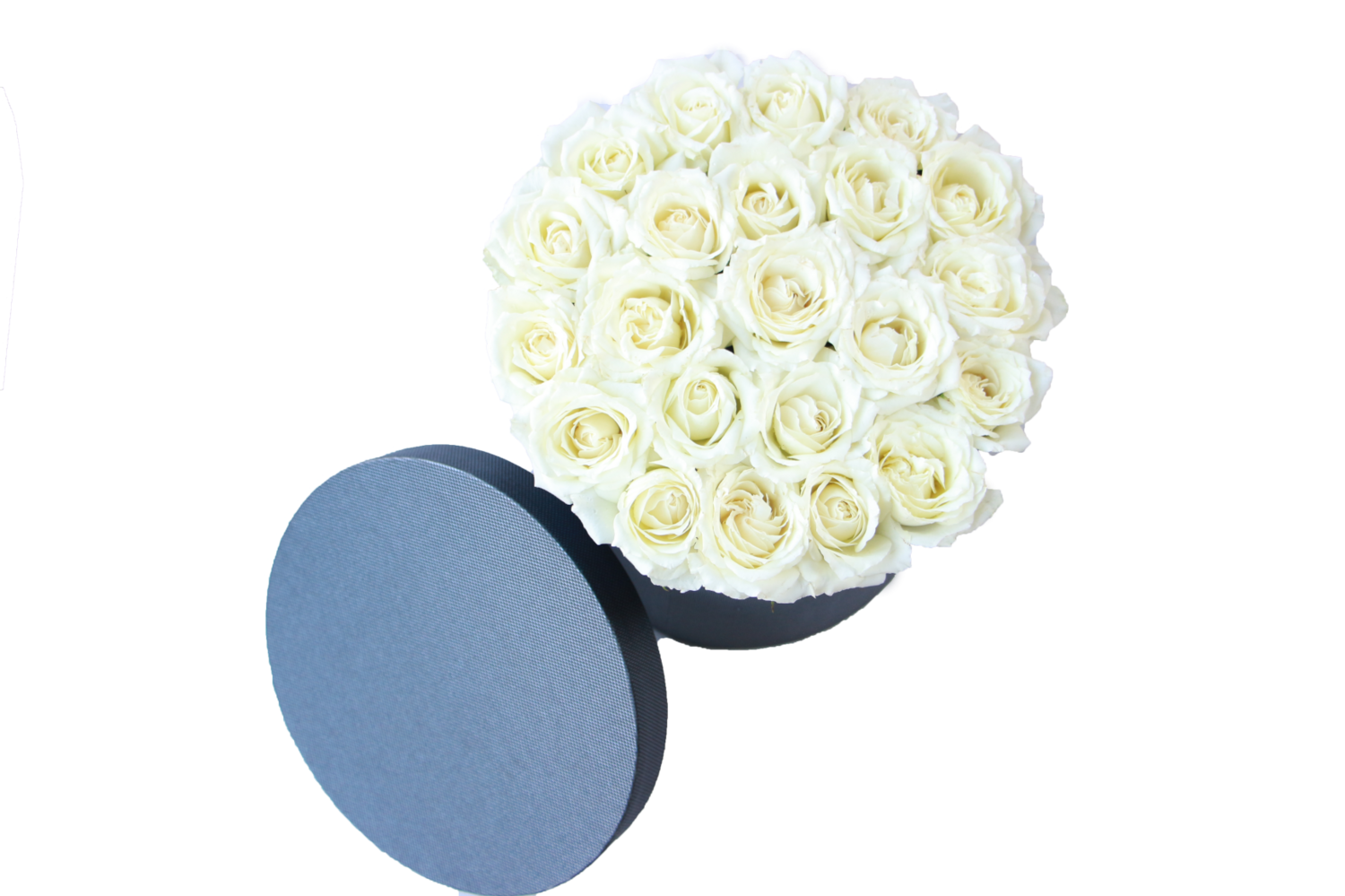 White roses black box