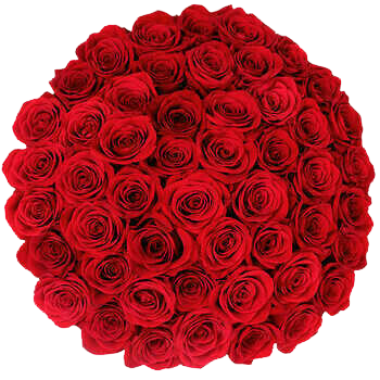 Red roses Bouquet 150