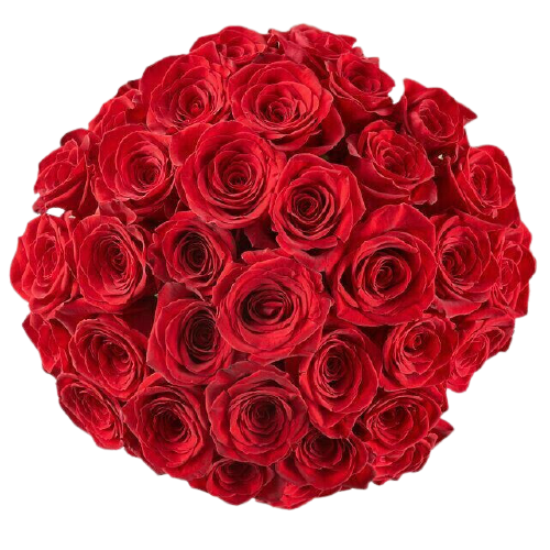 Red roses Bouquet 100