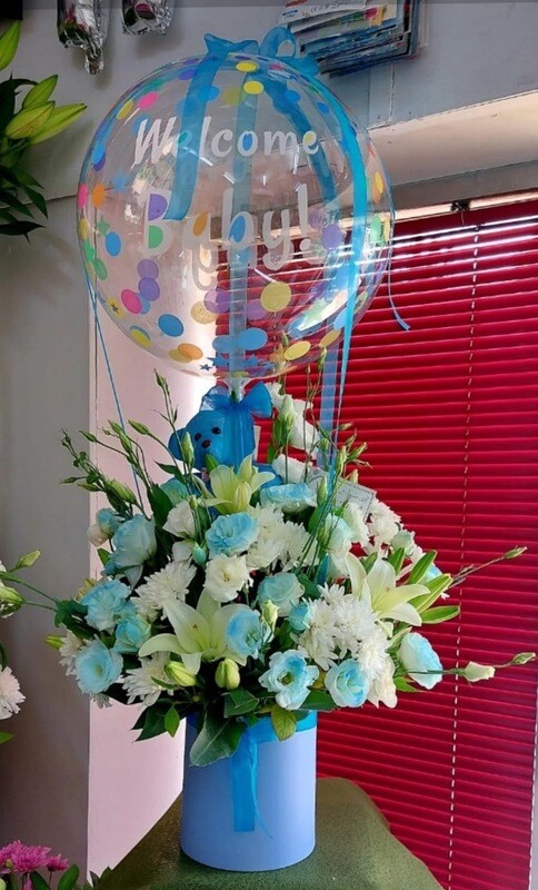 Baby Boy with Flying Balloon Jordan