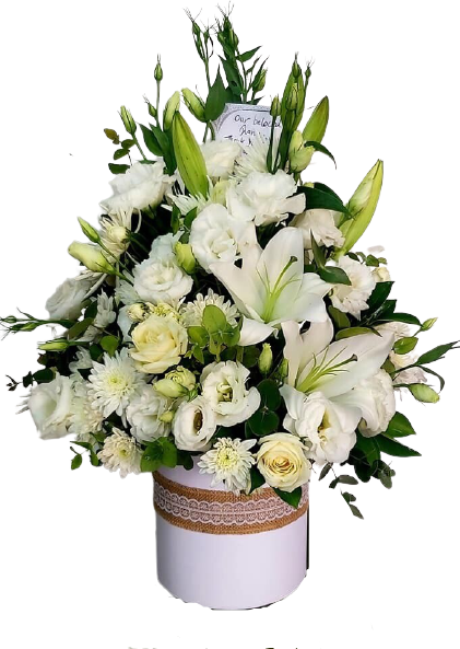 Collection of White Flowers Jordan