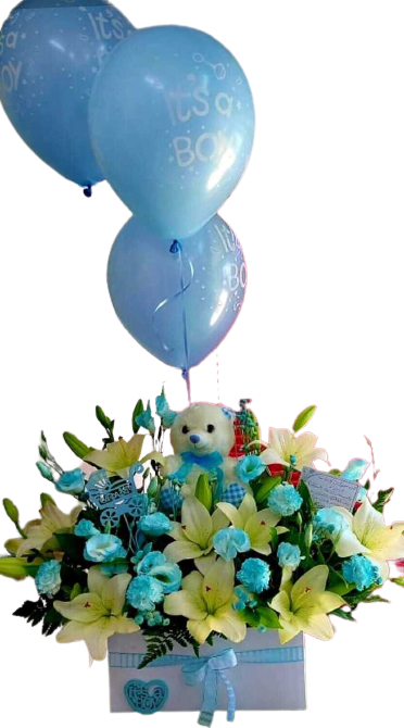 Baby Boy Gift with 3 Balloons Jordan