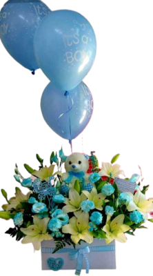 Baby Boy Gift with 3 Balloons Jordan