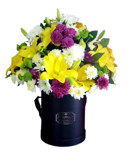 Colorful mix flowers Jordan