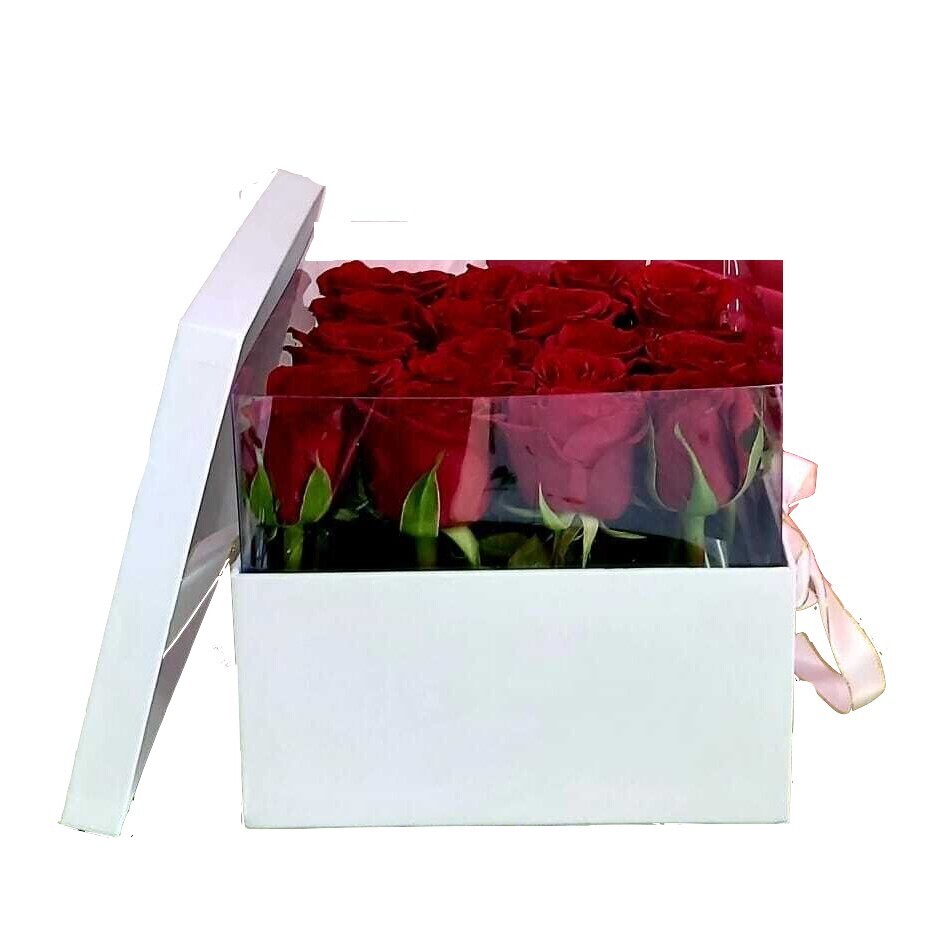 16 Red Roses in a Transparent Box w. cover Jordan