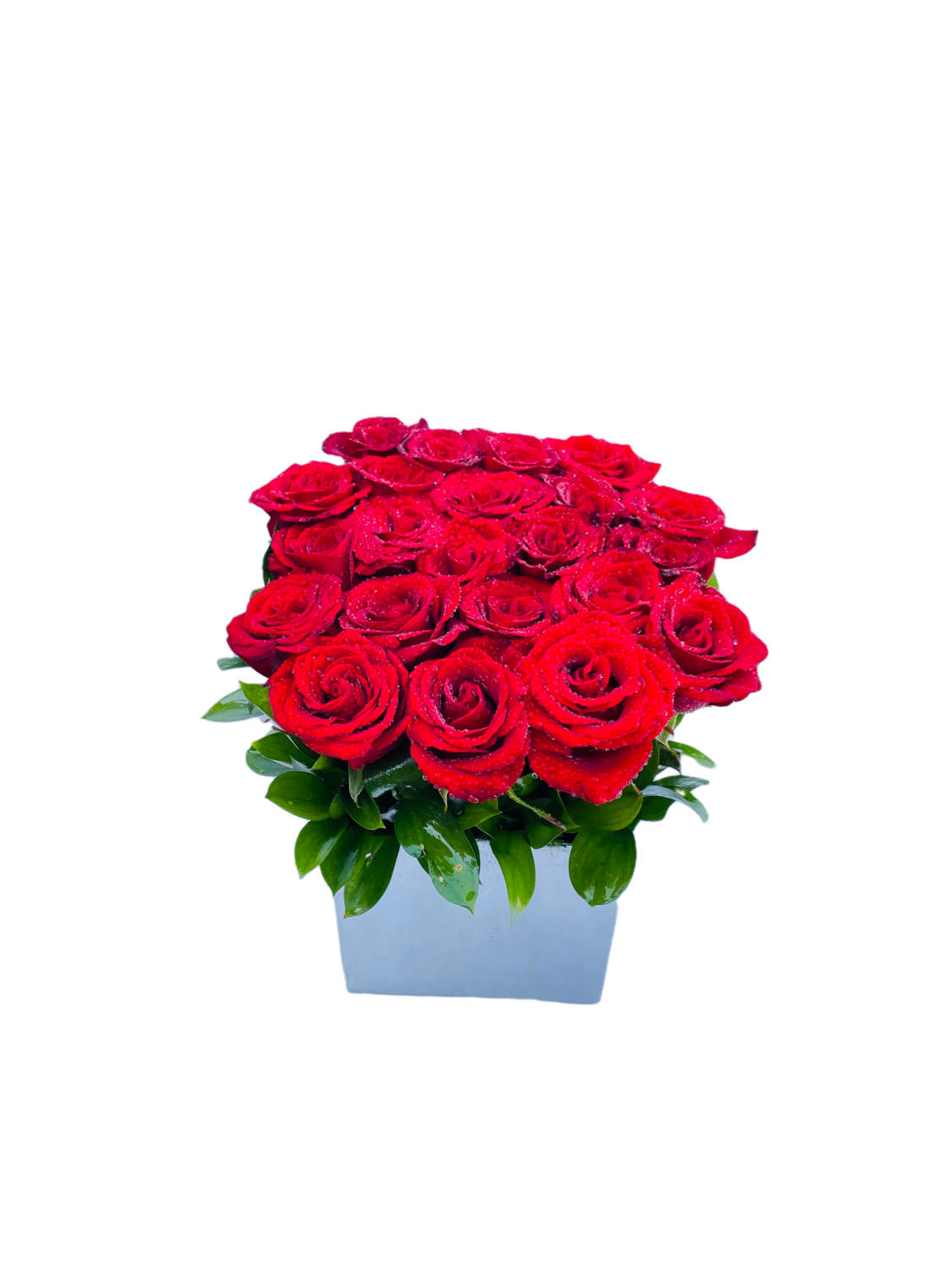 Red Roses in box