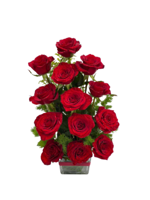 12 Red roses in vase