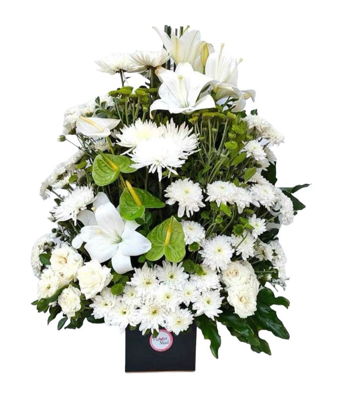 Lilies, Chrysanthemums &amp; Anthurium Harmony Box