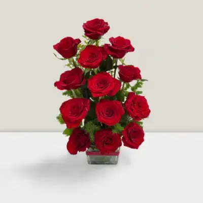12 Red roses in vase